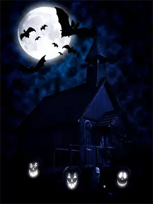 永不再见的歌曲