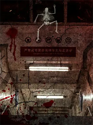 他们都以为我爱惨了男主，其实我是个NPC